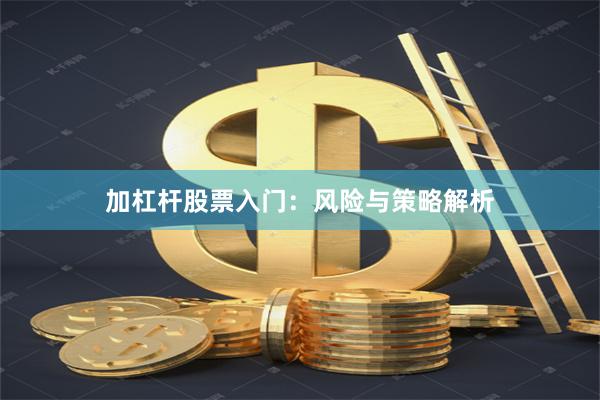 加杠杆股票入门：风险与策略解析